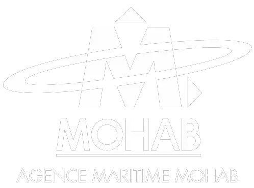 Packaging 6 logo reference mohab logistics