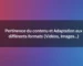 Pertinence du contenu et Adaptation aux différents formats