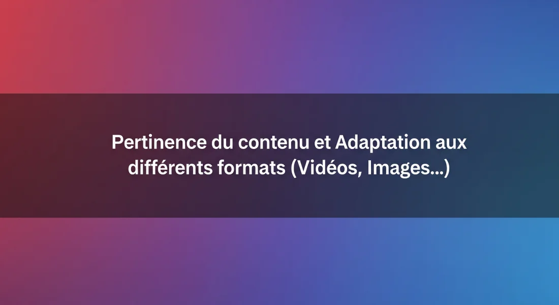 Pertinence du contenu et Adaptation aux différents formats (Vidéos, Images...) 1 Pertinence du contenu et Adaptation aux différents formats
